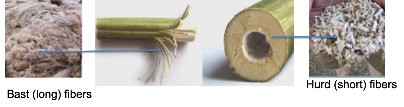 Bast and Hurd fiber comparisons